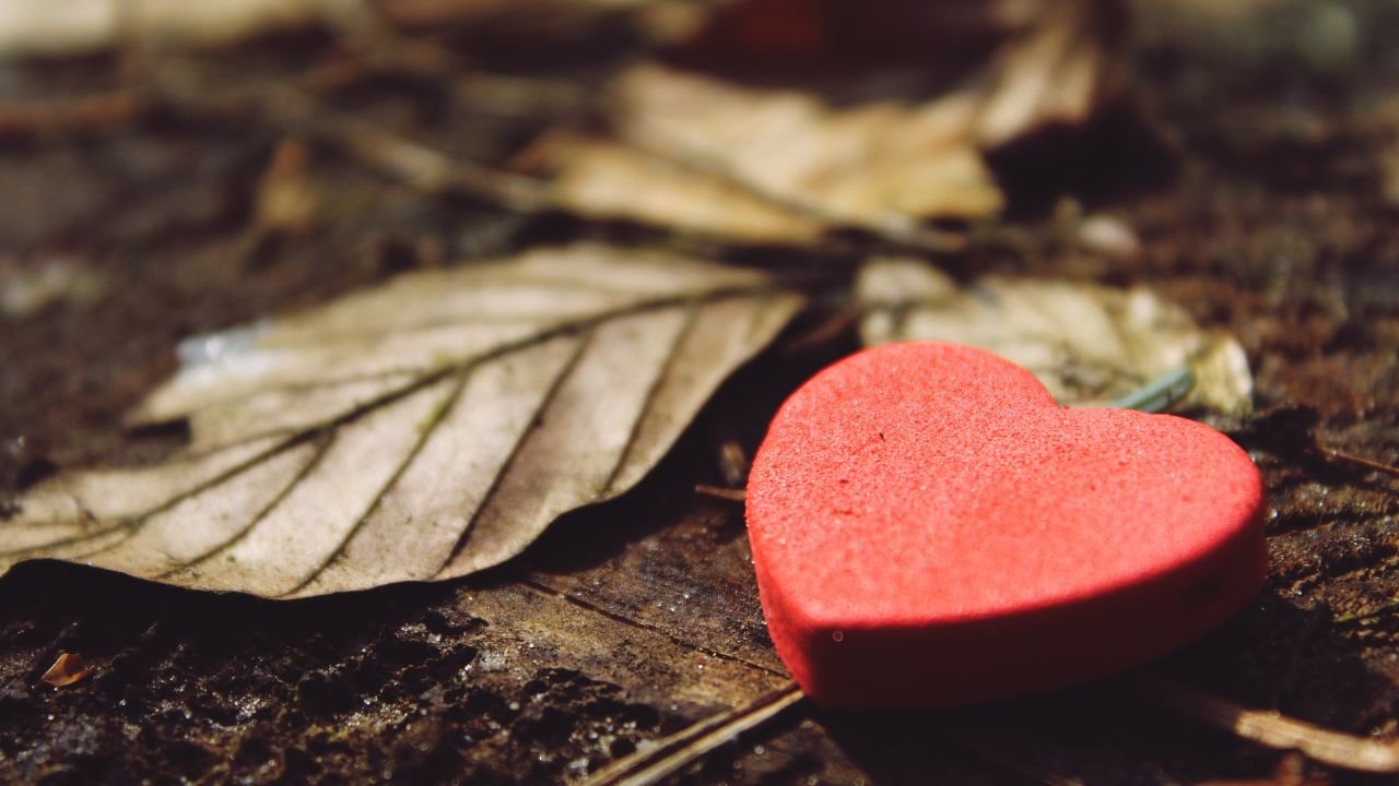 Gratidão em Meio às Dificuldades